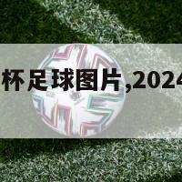 2024欧洲杯足球图片,2024年欧洲杯足球场