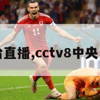 中央八台直播,cctv8中央八台直播